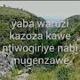 @kanezasoso3221
