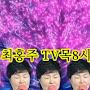 @choiHongjooTV