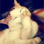 @mi-cb2jb