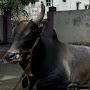 @tamilmoviesnew5754