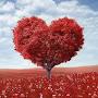 @mohammadsumonislam7508