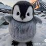 @CharliePenguin