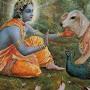 @shashankbhatnagar6625