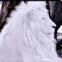@قران-ه4ض