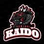 @kaido12-z5w