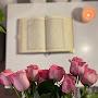 @ahmedwel5174