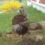 @strutnutcustomcalls6938