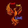 @LiverLinkLive