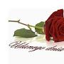 @mariolasiliwoniuk2964