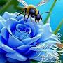 @frometernitytoeternity