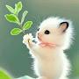 @AshfaqAhmad13416