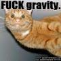 @fanofentropy2280
