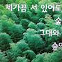@나마스테-s4p