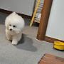 @한지숑이