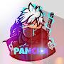 @pancha9995