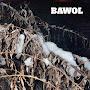 @bawol-official