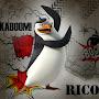 @rikardoua73