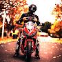 @darcdesiaustralianriderclu5504