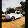 @73beetle19
