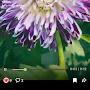 @Bj2273-Garden
