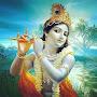 @yogakrishna3651