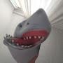 @Israelshark-f5h