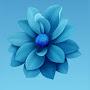 @blueangels8103