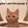 @RottenLettuce