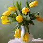 @sanjaydebnath3044