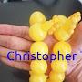 @christophertruongm8391