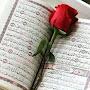 @علی-ه5خ2ق