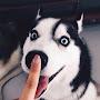 @tyrwik