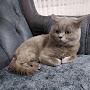 @Leyla1975.