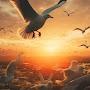 @Angel-w5w5x