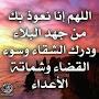 @meriembel2965