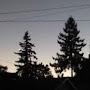 @benevolence_isavurtue2971