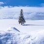 @winter0180