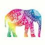 @briannawhite5965