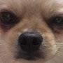 @user-to5id7qj7y