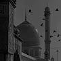 @Alkhalil-165