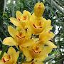 @gardenerbob5630