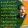 @ranazulqurnain5134