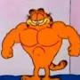 @BJJBadger