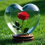 @fatmah1744