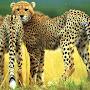 @AbdulSamad-fe2dn