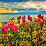 @sharnjitsingh7750