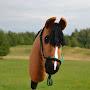 @kht-horse-123
