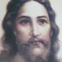 @jesustrust4190