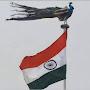 @mayurdhwajsinhjadeja9255