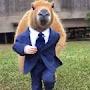 @Capybaralad